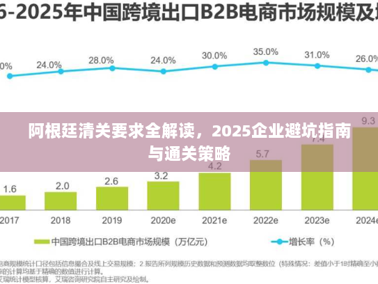 阿根廷清关要求全解读,2025企业避坑指南与通关策略 阿根廷清关要求全解读,2025企业避坑指南与通关策略