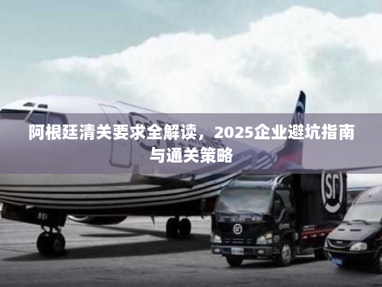 阿根廷清关要求全解读,2025企业避坑指南与通关策略 阿根廷清关要求全解读,2025企业避坑指南与通关策略