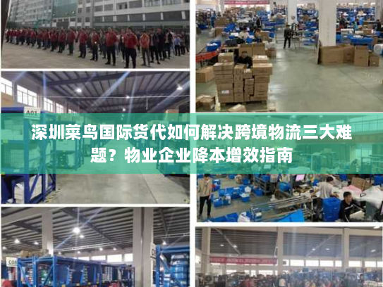深圳菜鸟国际货代如何解决跨境物流三大难题？物业企业降本增效指南