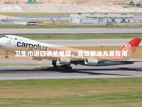 卫生巾进口清关难题，高效解决方案指南