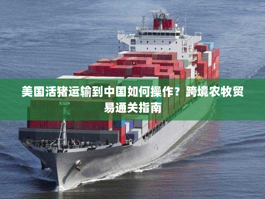 美国活猪运输到中国如何操作？跨境农牧贸易通关指南