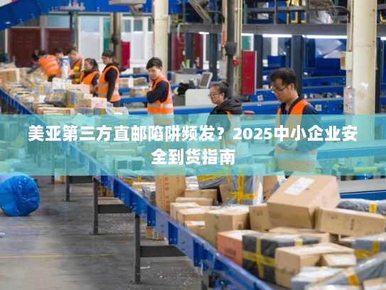 美亚第三方直邮陷阱频发?2025中小企业安全到货指南 美亚第三方直邮陷阱频发?2025中小企业安全到货指南