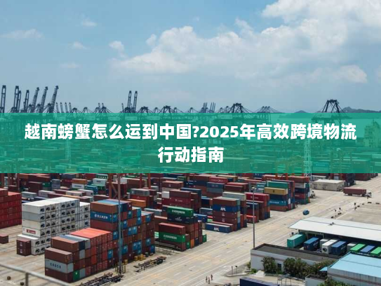 越南螃蟹怎么运到中国?2025年高效跨境物流行动指南 越南螃蟹怎么运到中国?2025年高效跨境物流行动指南