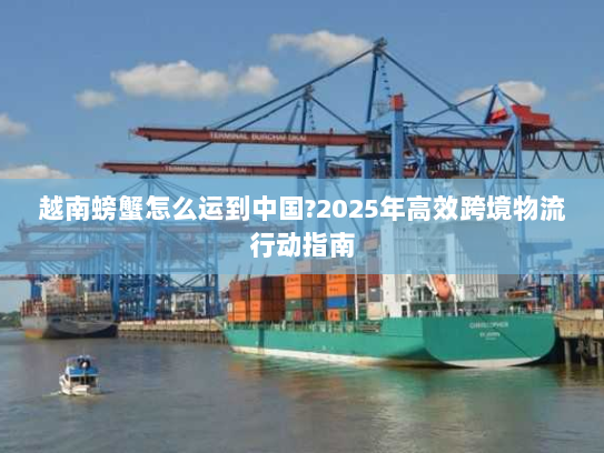 越南螃蟹怎么运到中国?2025年高效跨境物流行动指南 越南螃蟹怎么运到中国?2025年高效跨境物流行动指南