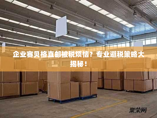 企业赛贝格直邮被税烦恼?专业避税策略大揭秘! 企业赛贝格直邮被税烦恼?专业避税策略大揭秘!