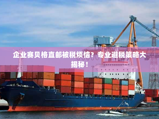 企业赛贝格直邮被税烦恼?专业避税策略大揭秘! 企业赛贝格直邮被税烦恼?专业避税策略大揭秘!