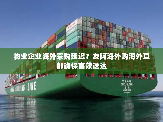 物业企业海外采购延迟?友阿海外购海外直邮确保高效送达 物业企业海外采购延迟?友阿海外购海外直邮确保高效送达