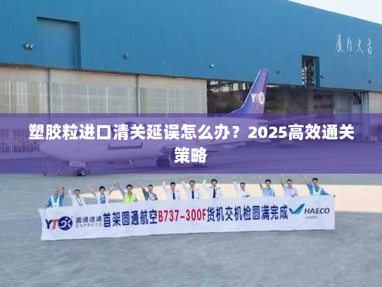 塑胶粒进口清关延误怎么办?2025高效通关策略 塑胶粒进口清关延误怎么办?2025高效通关策略