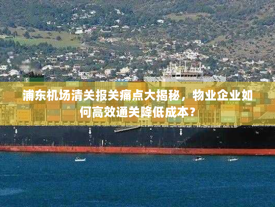 浦东机场清关报关痛点大揭秘，物业企业如何高效通关降低成本？