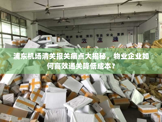 浦东机场清关报关痛点大揭秘，物业企业如何高效通关降低成本？