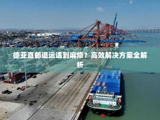 德亚直邮退运遇到麻烦?高效解决方案全解析 德亚直邮退运遇到麻烦?高效解决方案全解析