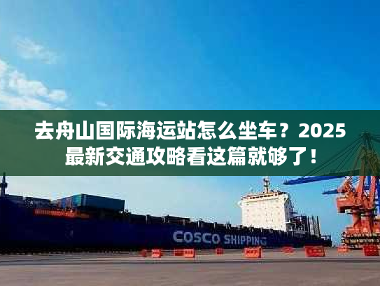 去舟山国际海运站怎么坐车？2025最新交通攻略看这篇就够了！