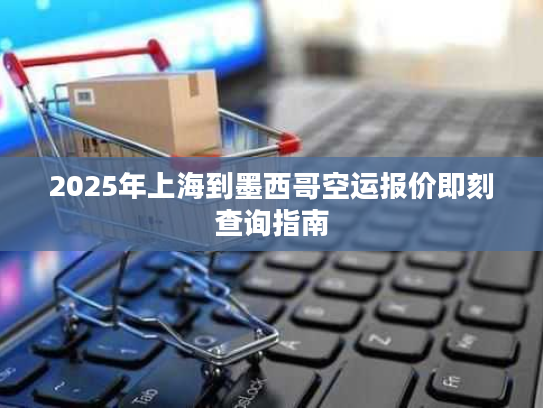 2025年上海到墨西哥空运报价即刻查询指南