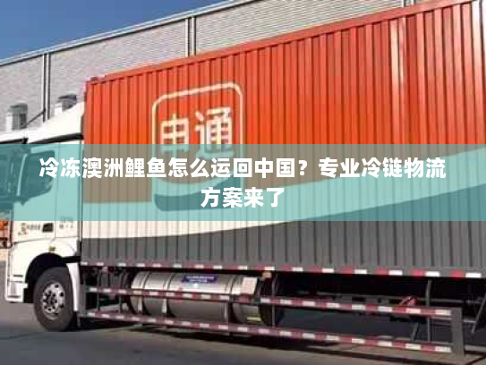 冷冻澳洲鲤鱼怎么运回中国？专业冷链物流方案来了