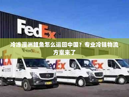 冷冻澳洲鲤鱼怎么运回中国？专业冷链物流方案来了