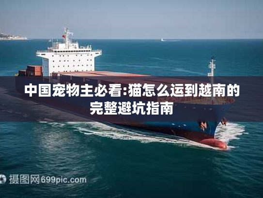 中国宠物主必看:猫怎么运到越南的完整避坑指南