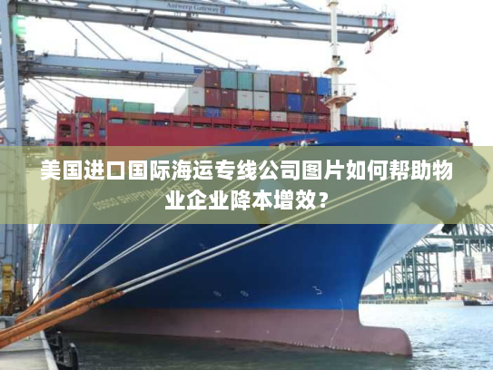 美国进口国际海运专线公司图片如何帮助物业企业降本增效？