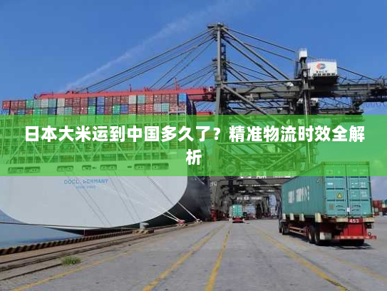 日本大米运到中国多久了?精准物流时效全解析 日本大米运到中国多久了?精准物流时效全解析