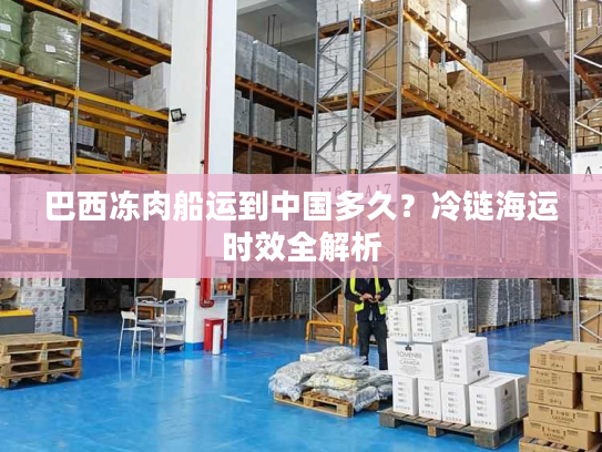 巴西冻肉船运到中国多久？冷链海运时效全解析