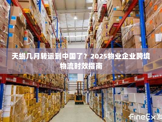 天蝎几月转运到中国了?2025物业企业跨境物流时效指南 天蝎几月转运到中国了?2025物业企业跨境物流时效指南
