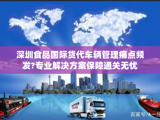 深圳食品国际货代车辆管理痛点频发?专业解决方案保障通关无忧