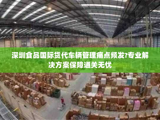 深圳食品国际货代车辆管理痛点频发?专业解决方案保障通关无忧 深圳食品国际货代车辆管理痛点频发?专业解决方案保障通关无忧