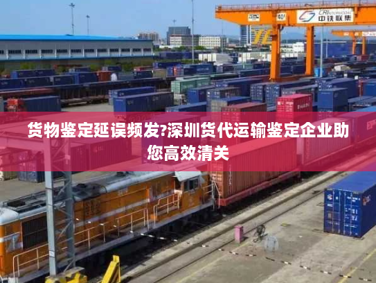 货物鉴定延误频发?深圳货代运输鉴定企业助您高效清关