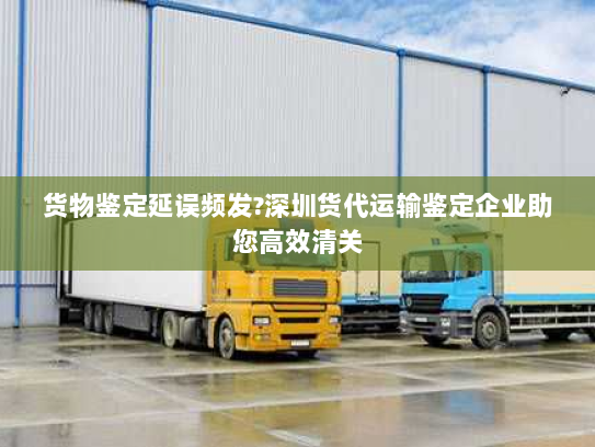 货物鉴定延误频发?深圳货代运输鉴定企业助您高效清关