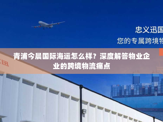 青浦今晨国际海运怎么样？深度解答物业企业的跨境物流痛点