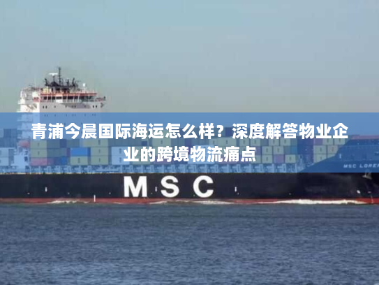 青浦今晨国际海运怎么样？深度解答物业企业的跨境物流痛点