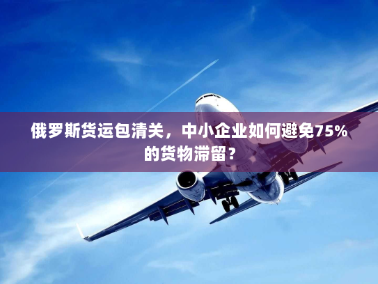 俄罗斯货运包清关,中小企业如何避免75%的货物滞留? 俄罗斯货运包清关,中小企业如何避免75%的货物滞留?