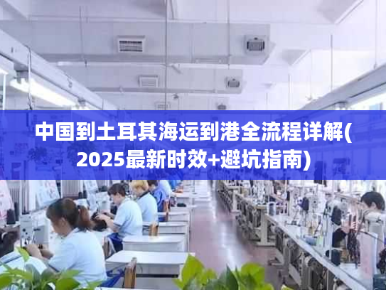 中国到土耳其海运到港全流程详解(2025最新时效+避坑指南)
