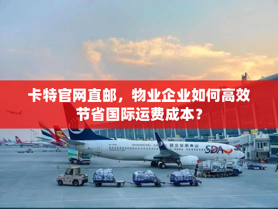 卡特官网直邮，物业企业如何高效节省国际运费成本？