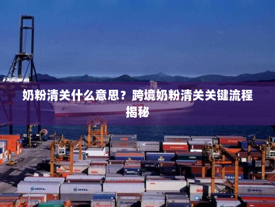 奶粉清关什么意思?跨境奶粉清关关键流程揭秘 奶粉清关什么意思?跨境奶粉清关关键流程揭秘