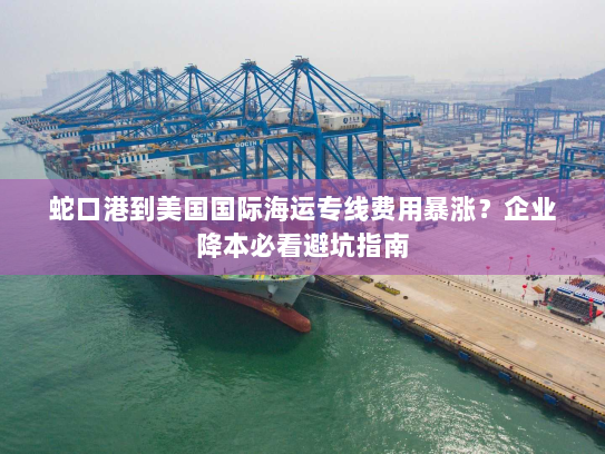 蛇口港到美国国际海运专线费用暴涨？企业降本必看避坑指南