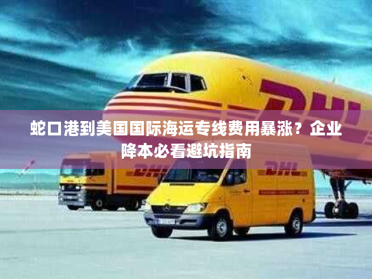 蛇口港到美国国际海运专线费用暴涨？企业降本必看避坑指南