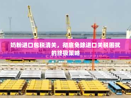 奶粉进口包税清关,彻底免除进口关税困扰的终极策略 奶粉进口包税清关,彻底免除进口关税困扰的终极策略