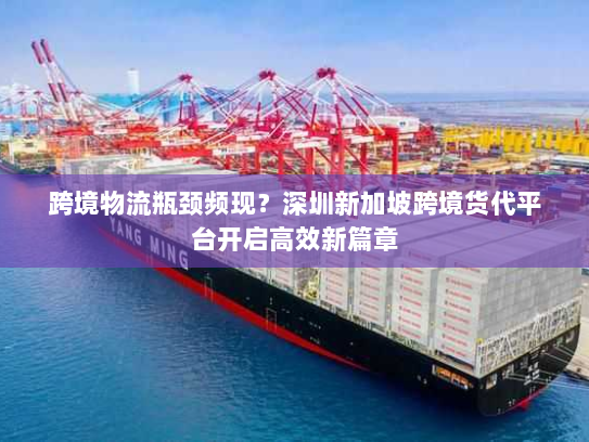 跨境物流瓶颈频现?深圳新加坡跨境货代平台开启高效新篇章 跨境物流瓶颈频现?深圳新加坡跨境货代平台开启高效新篇章