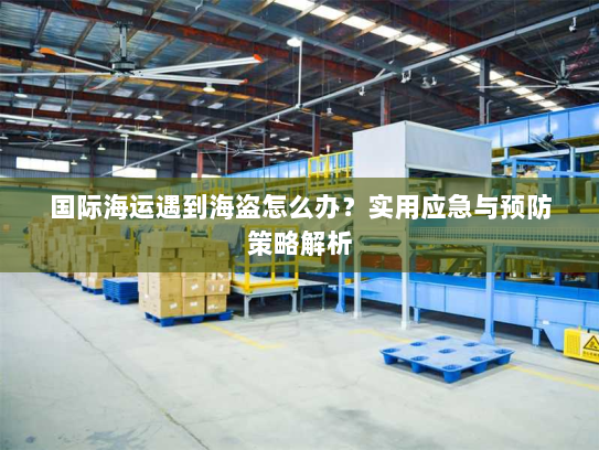 国际海运遇到海盗怎么办?实用应急与预防策略解析 国际海运遇到海盗怎么办?实用应急与预防策略解析