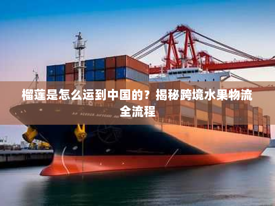 榴莲是怎么运到中国的?揭秘跨境水果物流全流程 榴莲是怎么运到中国的?揭秘跨境水果物流全流程
