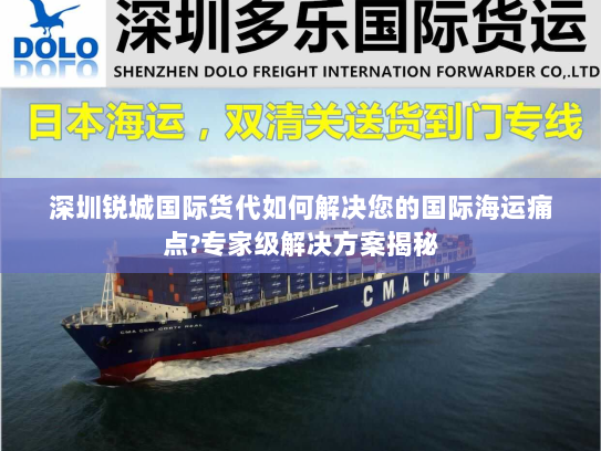 深圳锐城国际货代如何解决您的国际海运痛点?专家级解决方案揭秘 深圳锐城国际货代如何解决您的国际海运痛点?专家级解决方案揭秘
