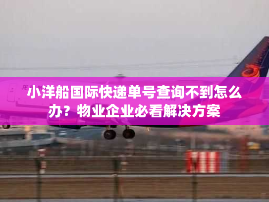 小洋船国际快递单号查询不到怎么办？物业企业必看解决方案