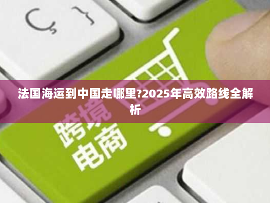 法国海运到中国走哪里?2025年高效路线全解析 法国海运到中国走哪里?2025年高效路线全解析