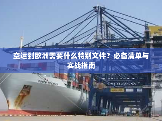 空运到欧洲需要什么特别文件？必备清单与实战指南