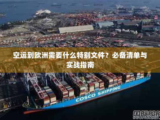 空运到欧洲需要什么特别文件？必备清单与实战指南
