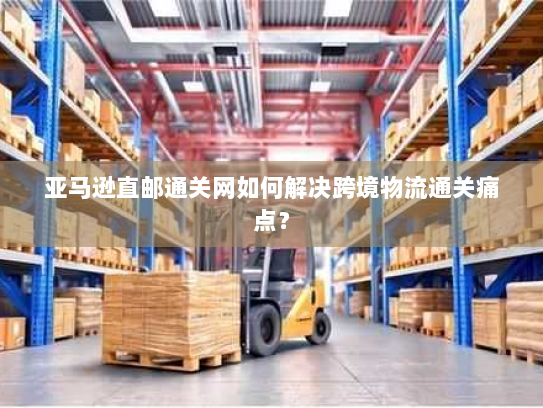 亚马逊直邮通关网如何解决跨境物流通关痛点？