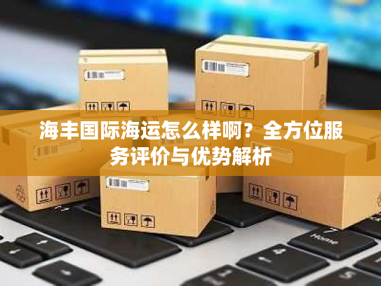海丰国际海运怎么样啊？全方位服务评价与优势解析