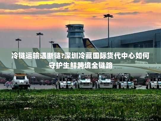 冷链运输遇断链?深圳冷藏国际货代中心如何守护生鲜跨境全链路