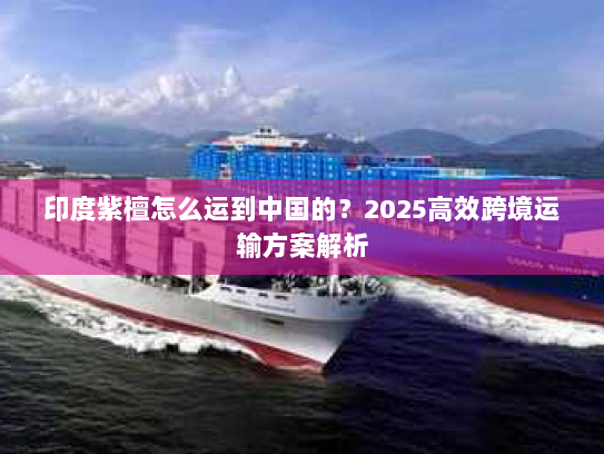 印度紫檀怎么运到中国的?2025高效跨境运输方案解析 印度紫檀怎么运到中国的?2025高效跨境运输方案解析