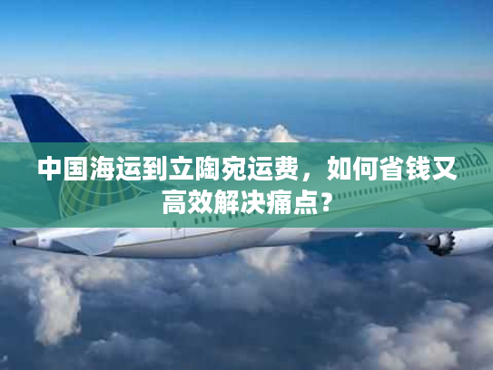 中国海运到立陶宛运费，如何省钱又高效解决痛点？